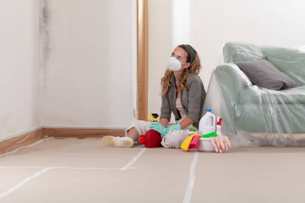 Reliable Commercial Mold Remediation contractor in Sun City Center, FL by WQB Mold Removal